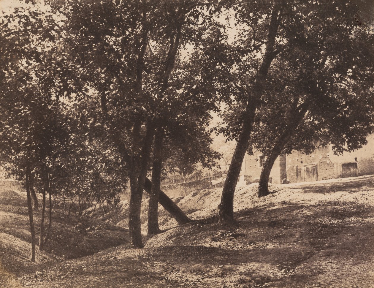 Bomen door André Giroux