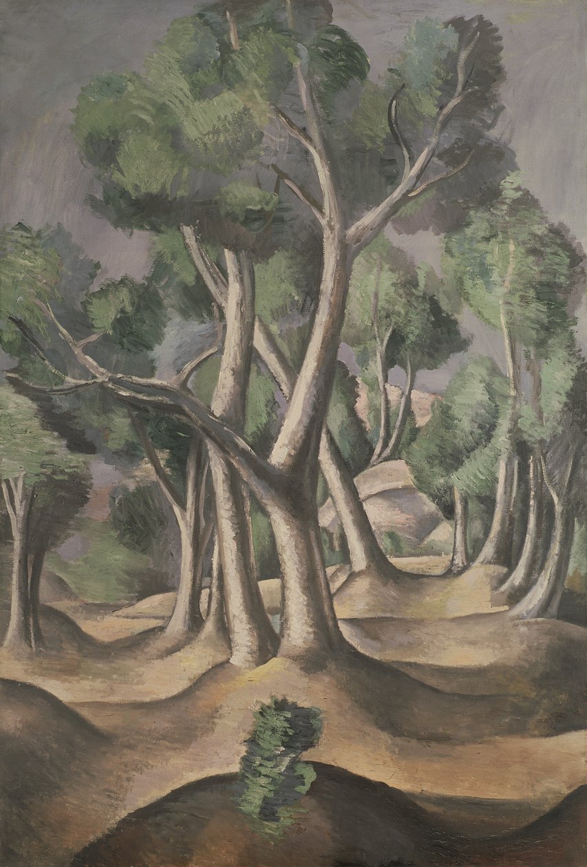 De Grove door Andre Derain