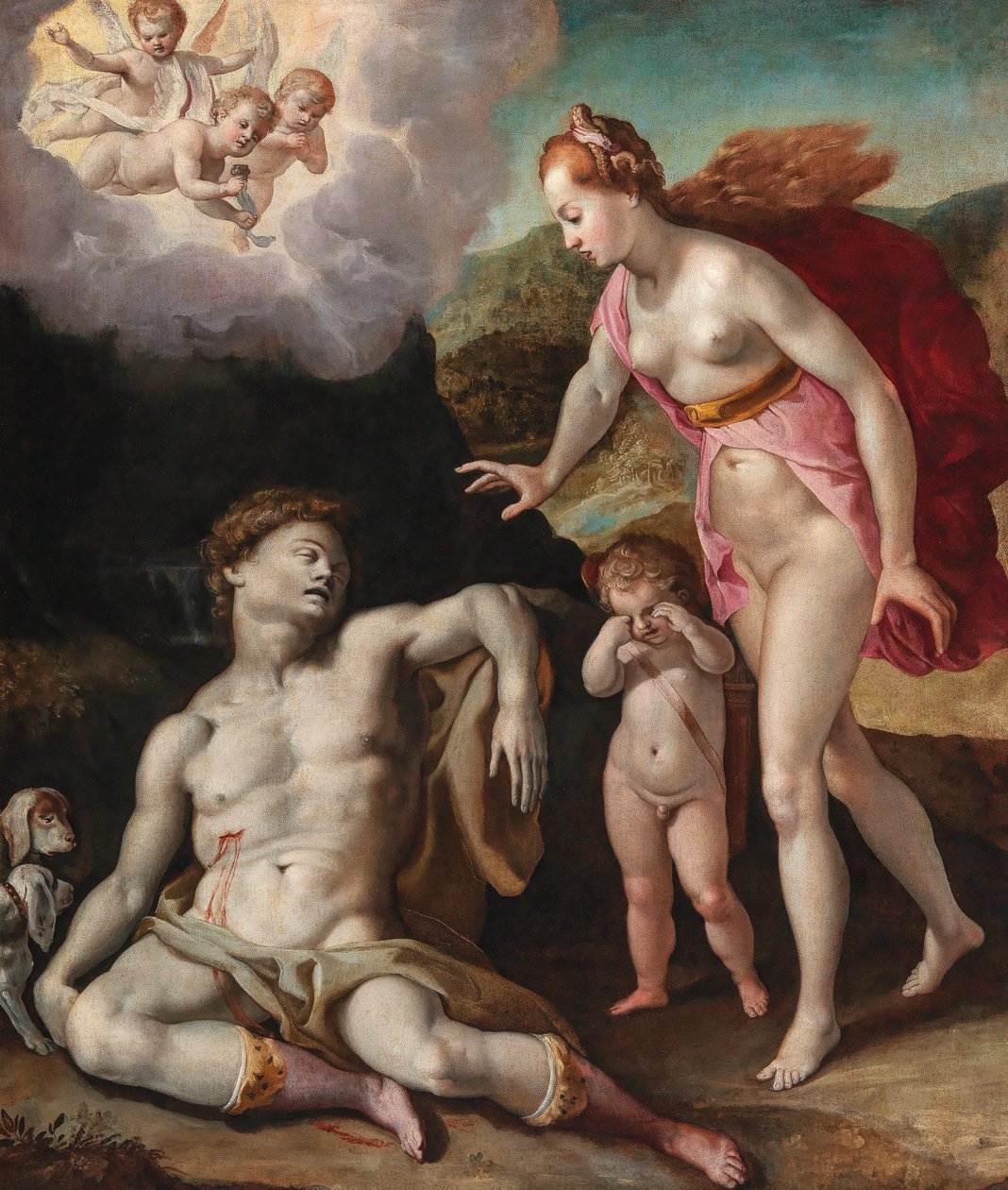 Venus rouwt om de dood van Adonis door Andrea Boscoli
