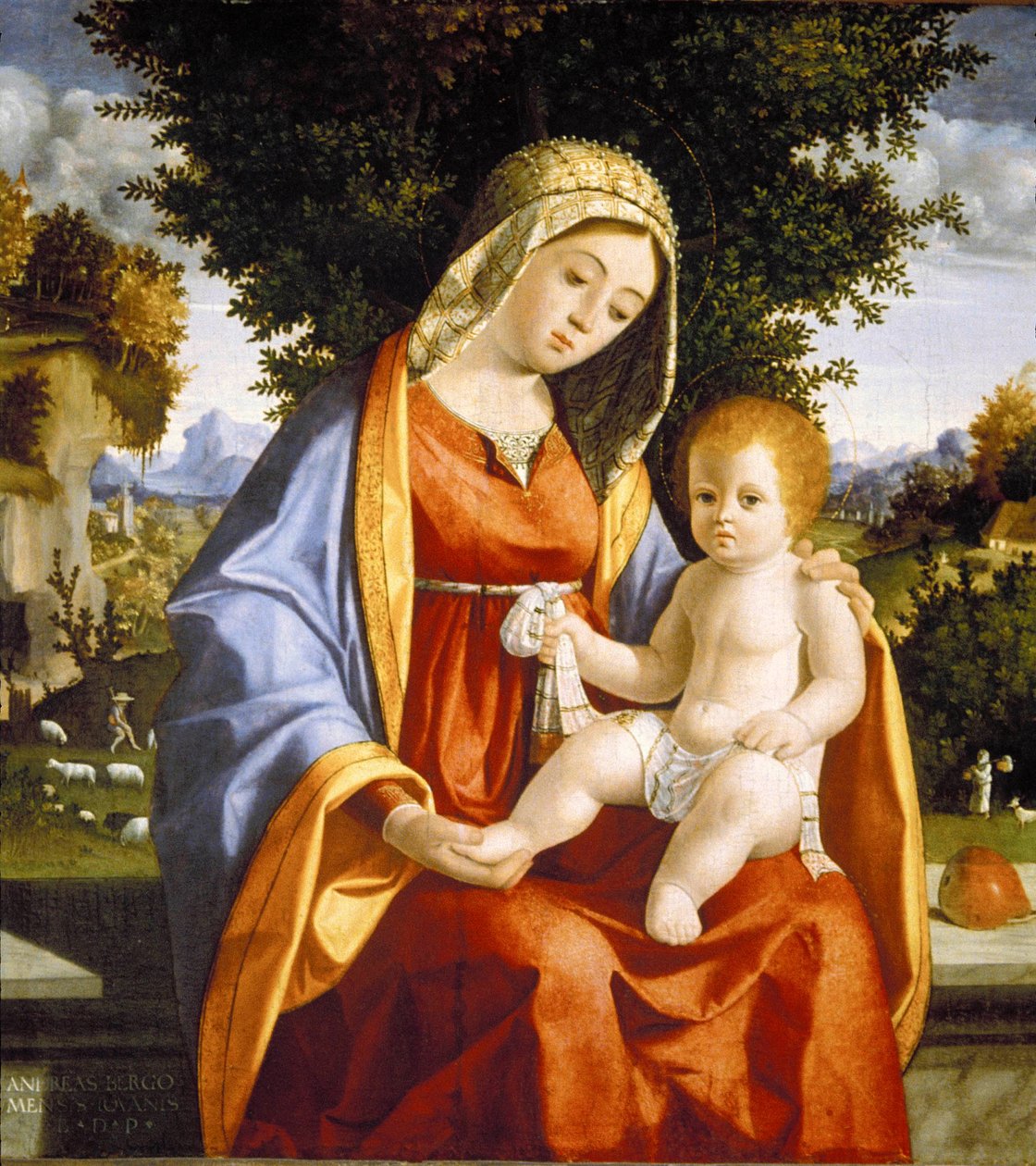 Madonna en kind in landschap door Andrea Previtali