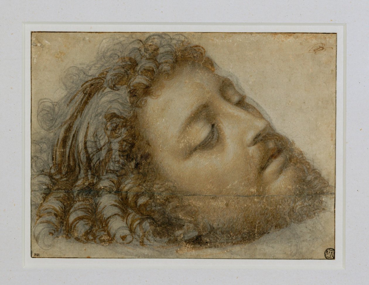 Hoofd van Johannes de Doper ... door Andrea Solario