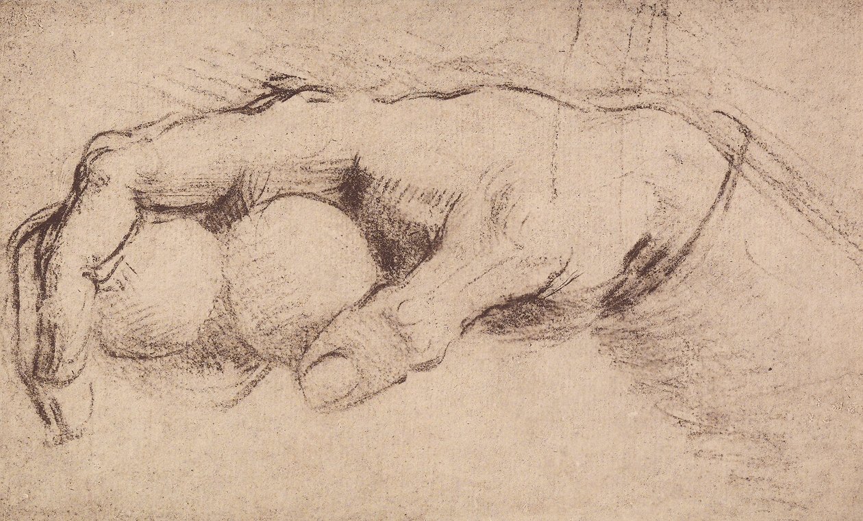 Een hand door Andrea del Sarto