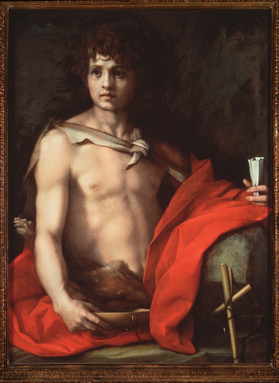 Sint Jan de Doper door Andrea del Sarto