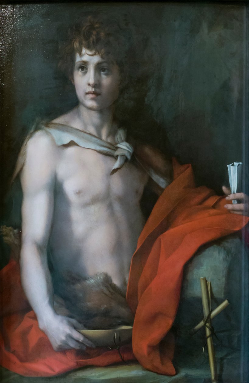 Sint Johannes de Doper door Andrea del Sarto