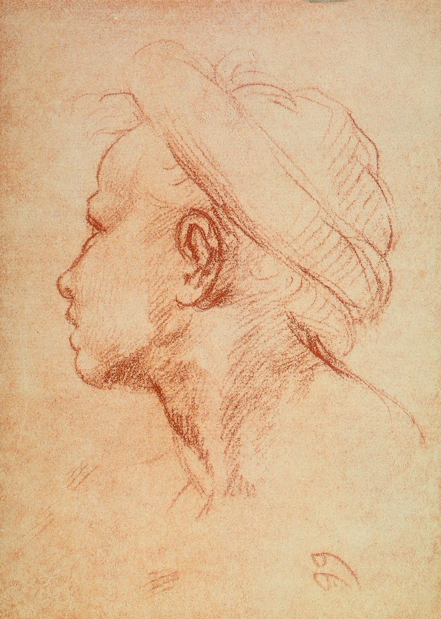 Jeugdhoofd in profiel door Andrea del Sarto