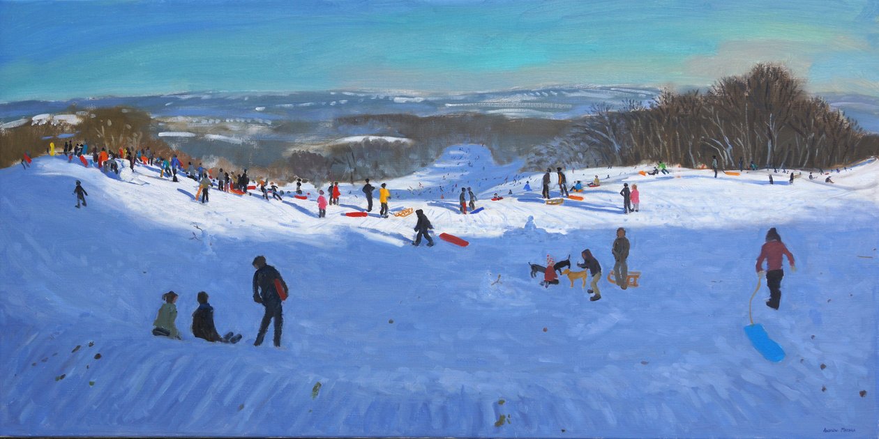 Allestree Park Derby, 2013 door Andrew Macara