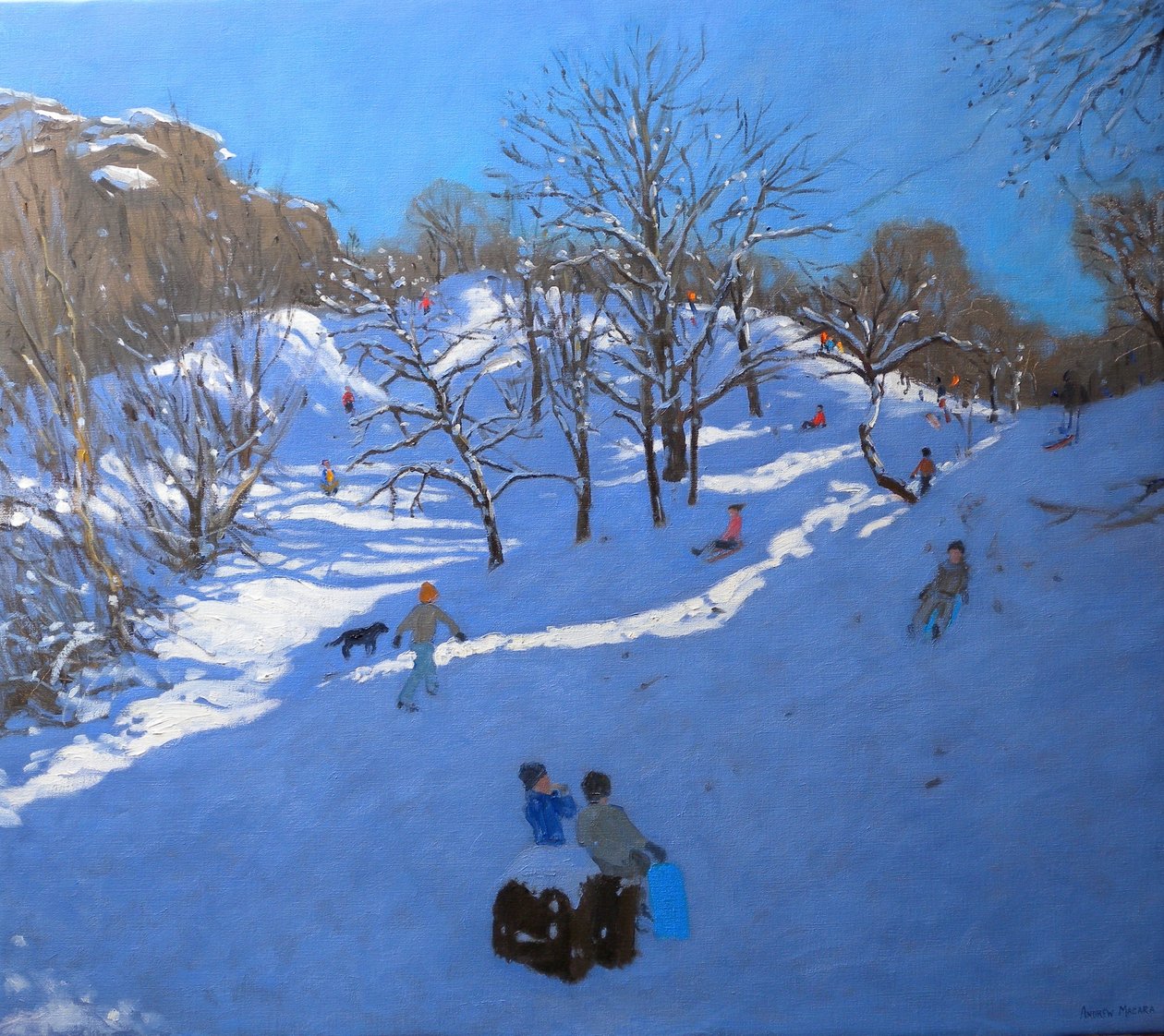 Heldere ochtend bij Black Rocks, Derbyshire, 2009 door Andrew Macara