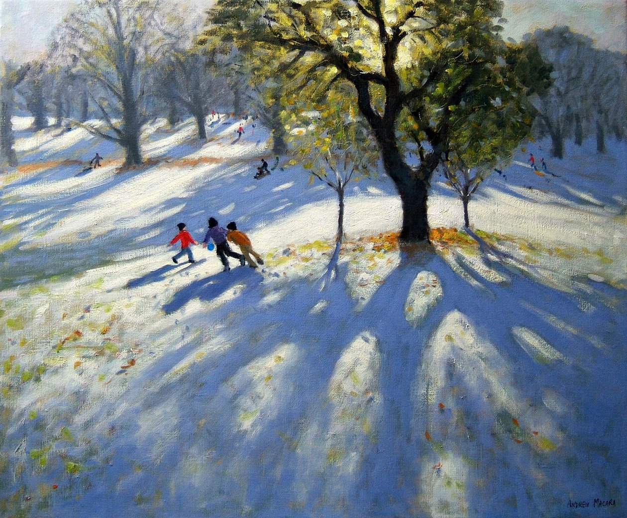 Markeaton Park, vroege sneeuw door Andrew Macara
