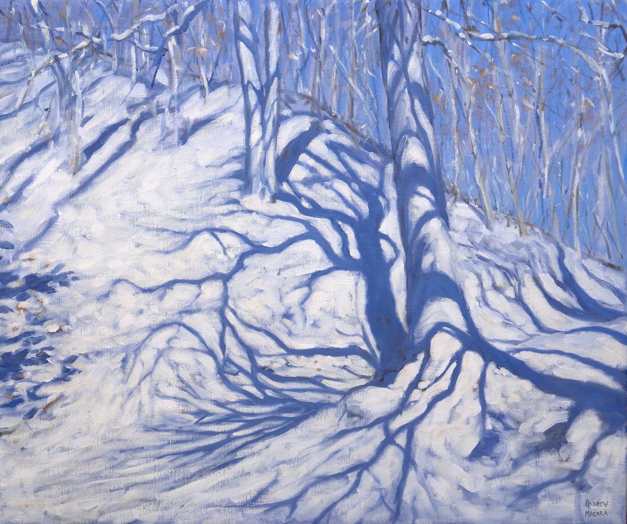 Winterbos, nabij Courcheval, 2008 door Andrew Macara