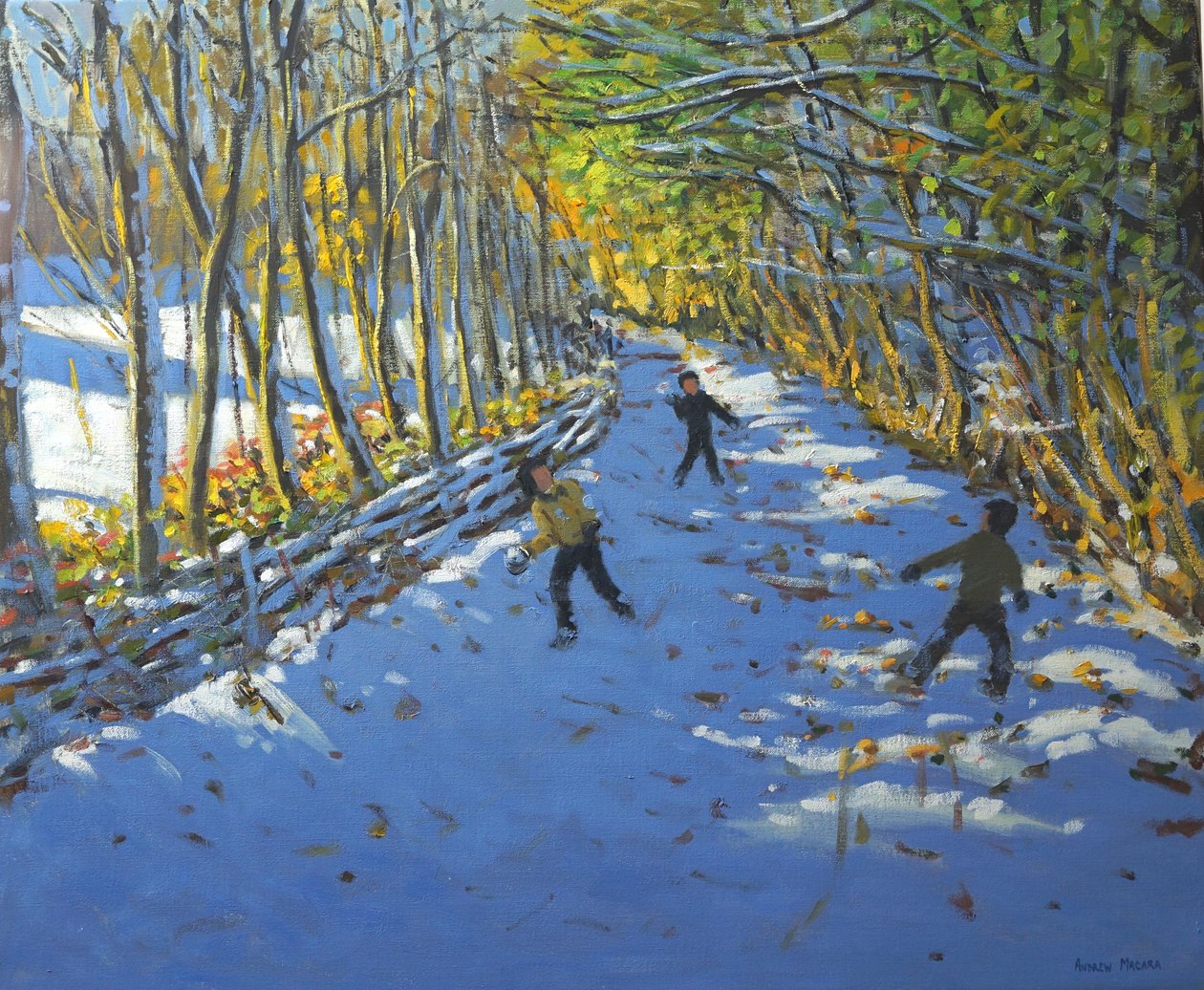 Gele Bomen, Allestree Park, 2012 door Andrew Macara