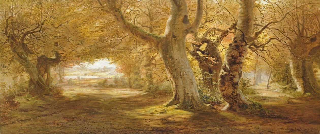 Een bebost landschap, 1887 door Andrew McCallum