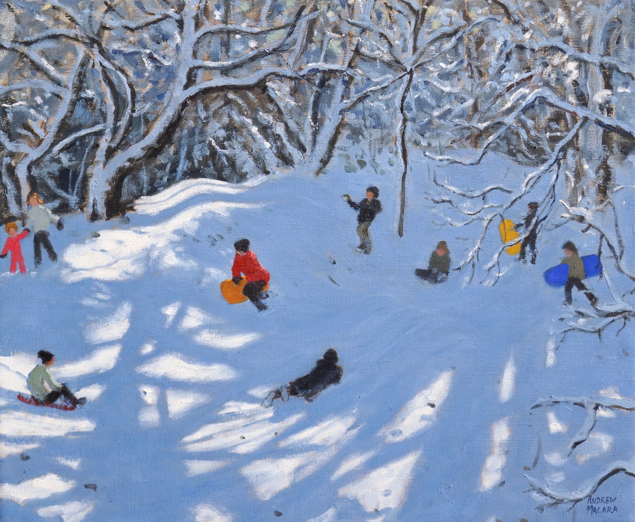 Kerstmis, Allestree Woods, Derby, 2017 door Andrew Macara