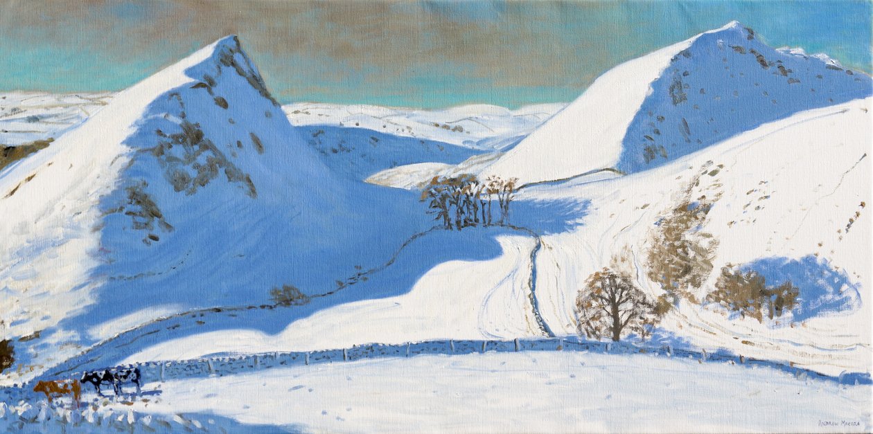 Chrome Hill, Derbyshire door Andrew Macara