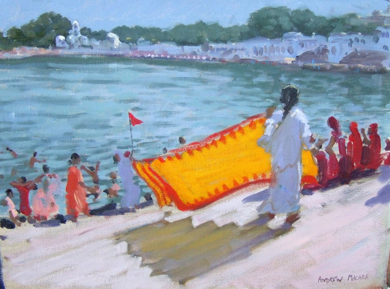 Sari drogen, Pushkar door Andrew Macara
