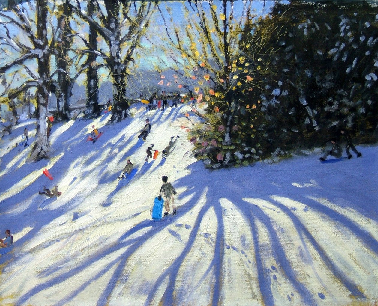 Vroege sneeuw, Darley Park door Andrew Macara