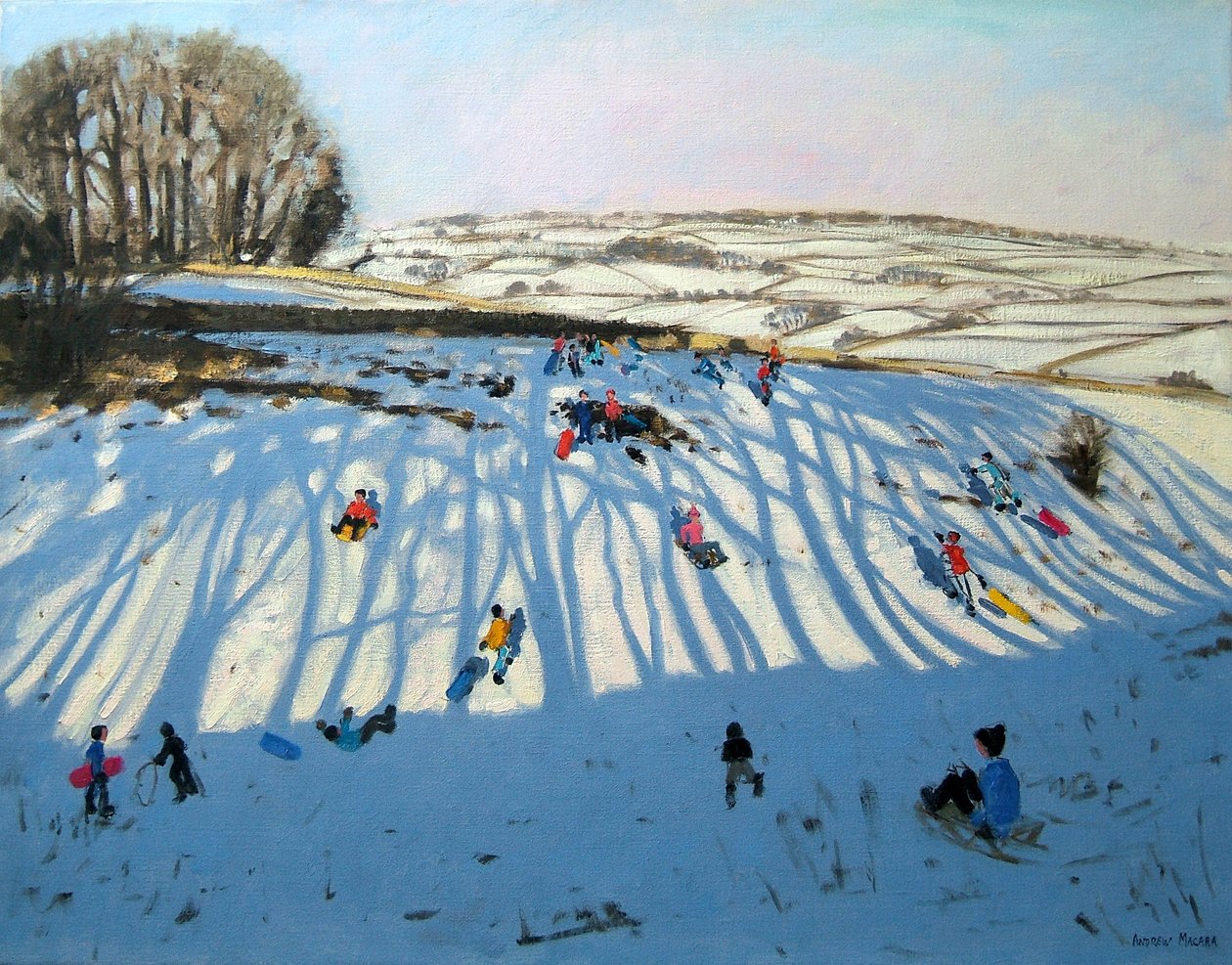 Velden van Schaduwen, Monyash, Derbyshire door Andrew Macara