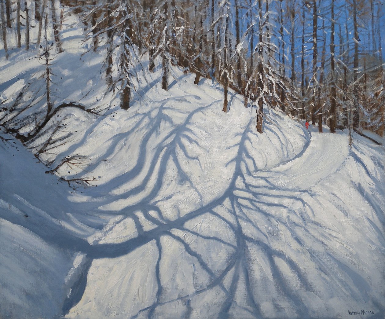 Schaduwen van dennenbomen, Tignes, 2009 door Andrew Macara