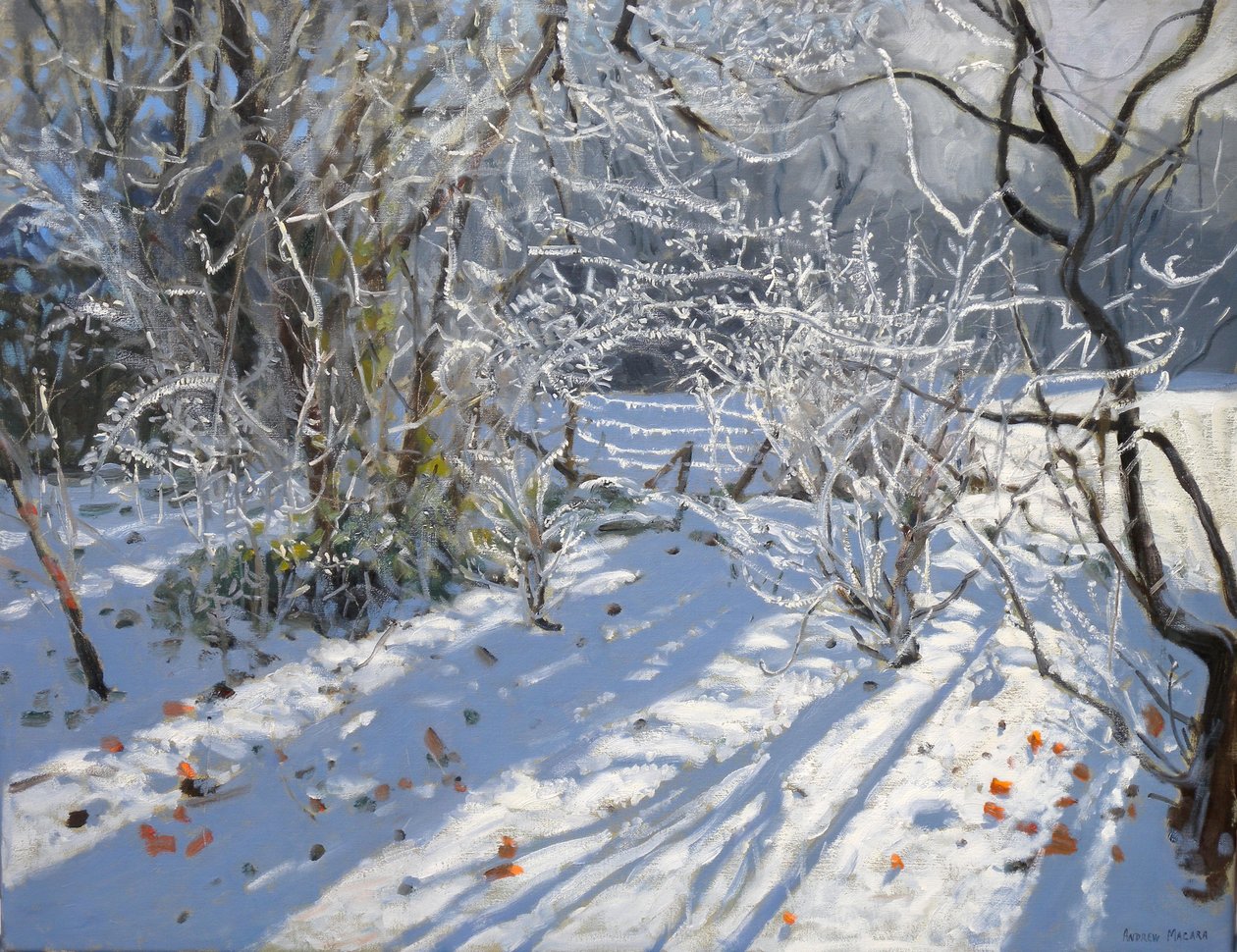Rijp, 2011 door Andrew Macara