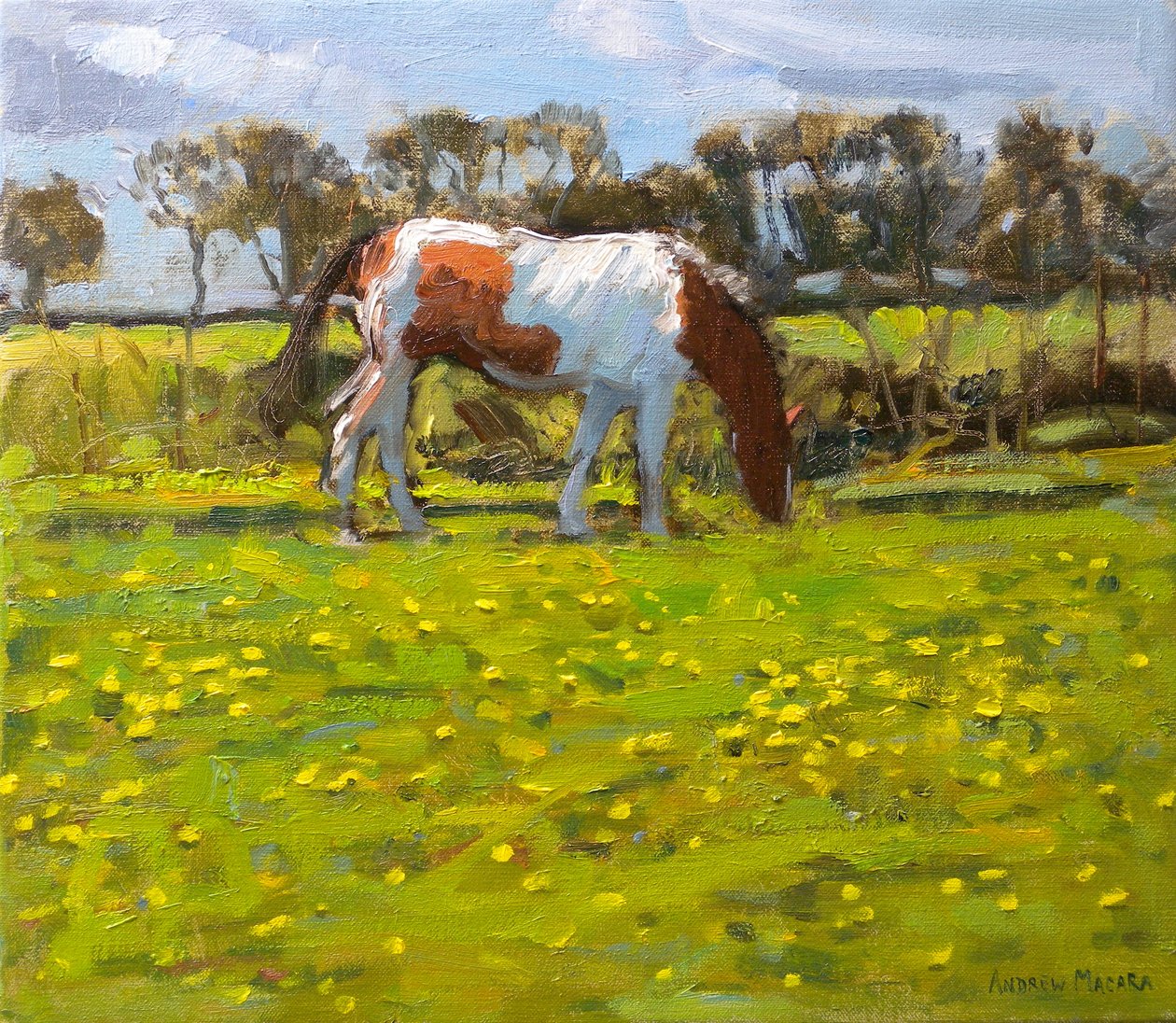 Bonte Paard door Andrew Macara