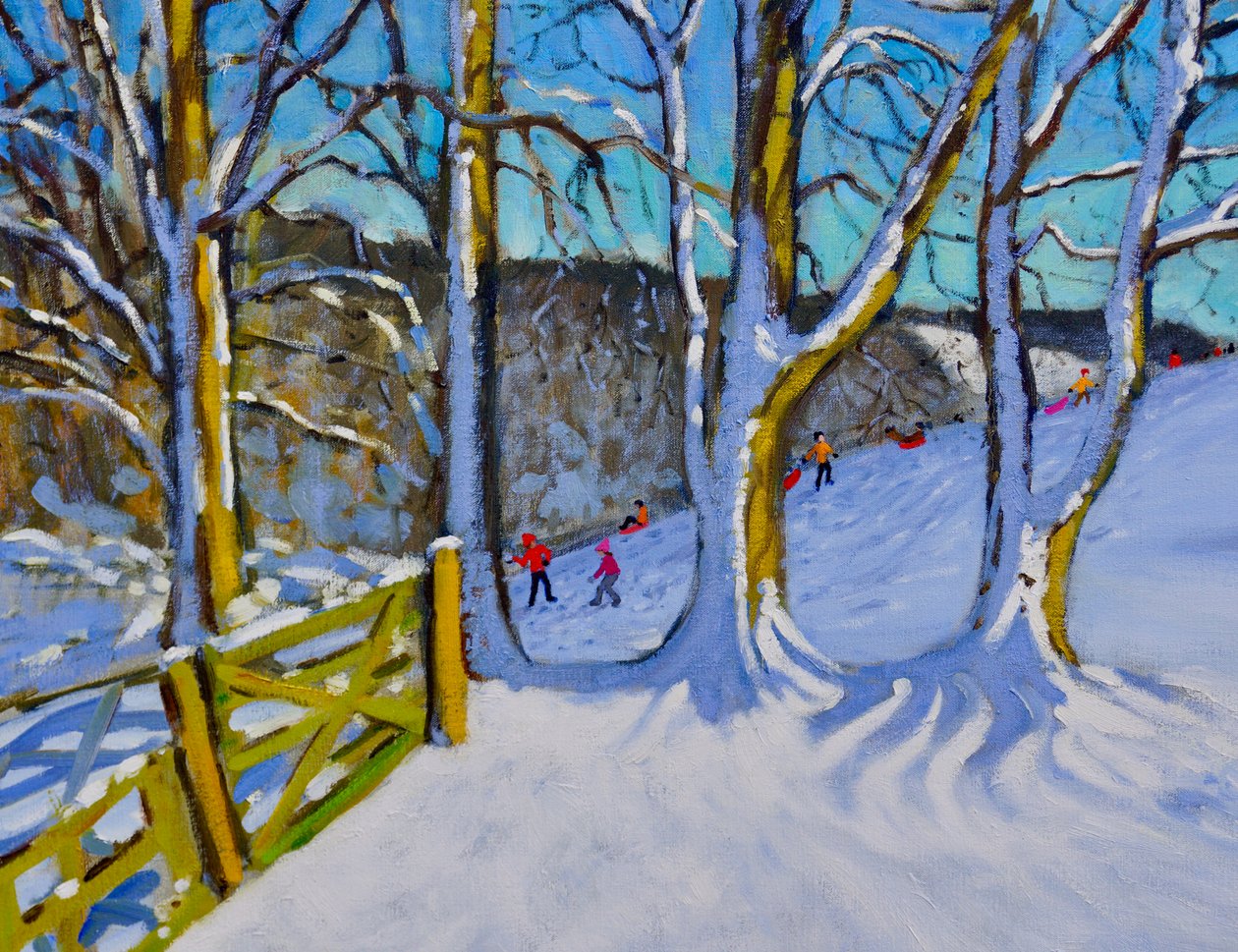 Sleeën, Dam Lane, Derbyshire door Andrew Macara