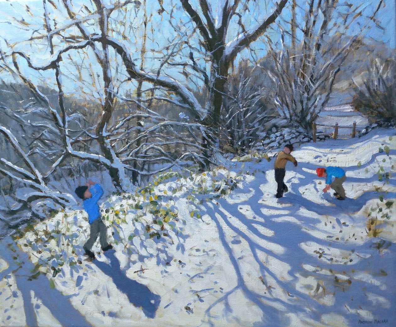 Sneeuwballengevecht, 2007 door Andrew Macara
