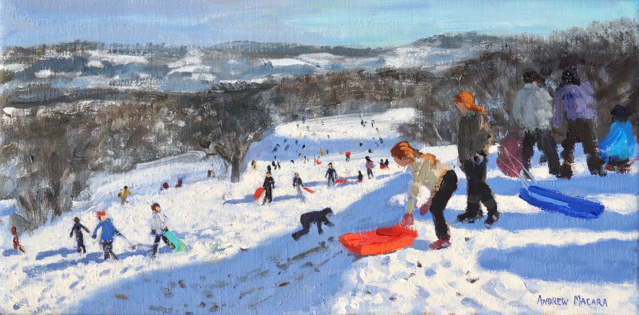 De Rode Slee, Allestree Park, Derby, 2016 door Andrew Macara