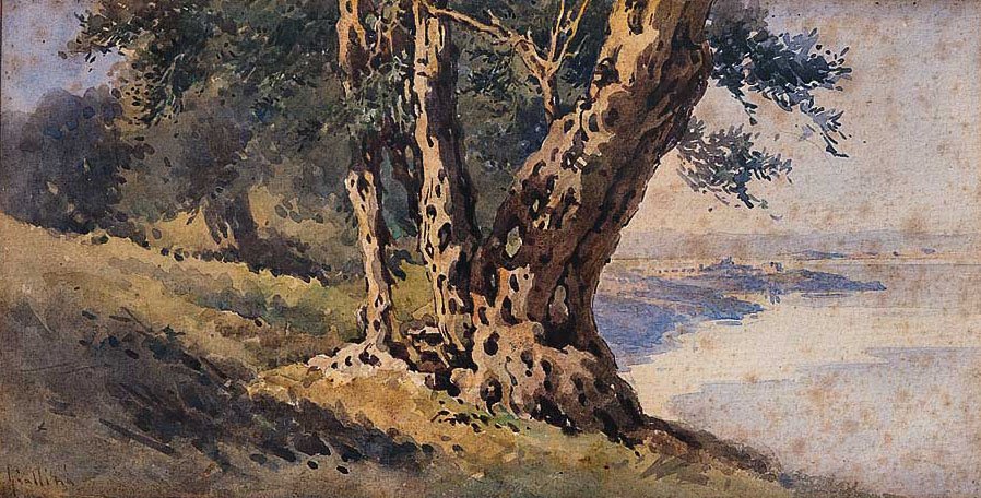 Landschap door Angelos Giallinas