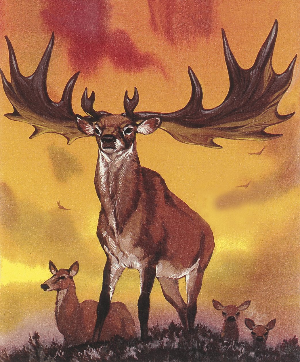 Giant elk door Angus McBride