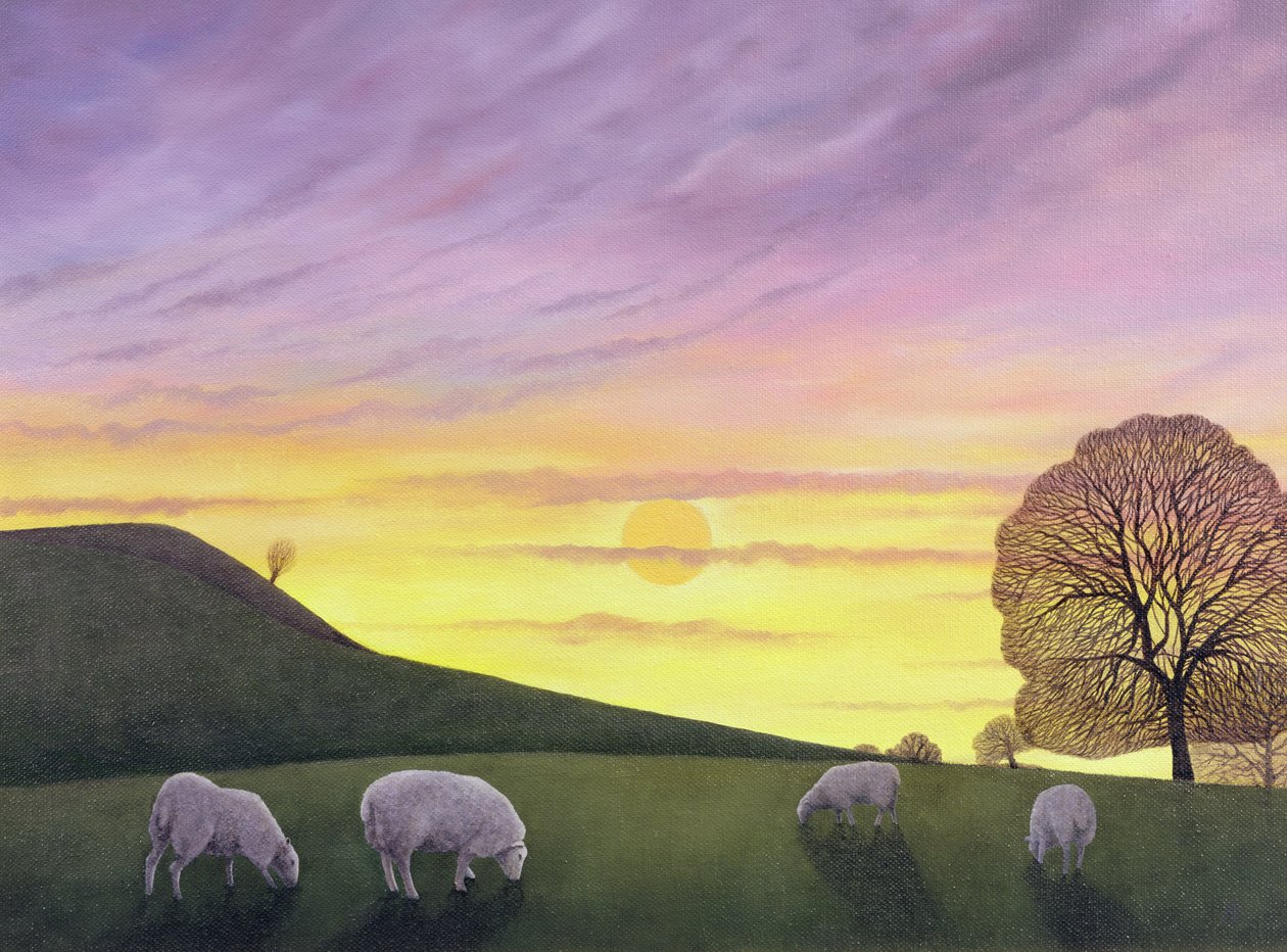 Barratts Hill, 2004 door Anna Phillips