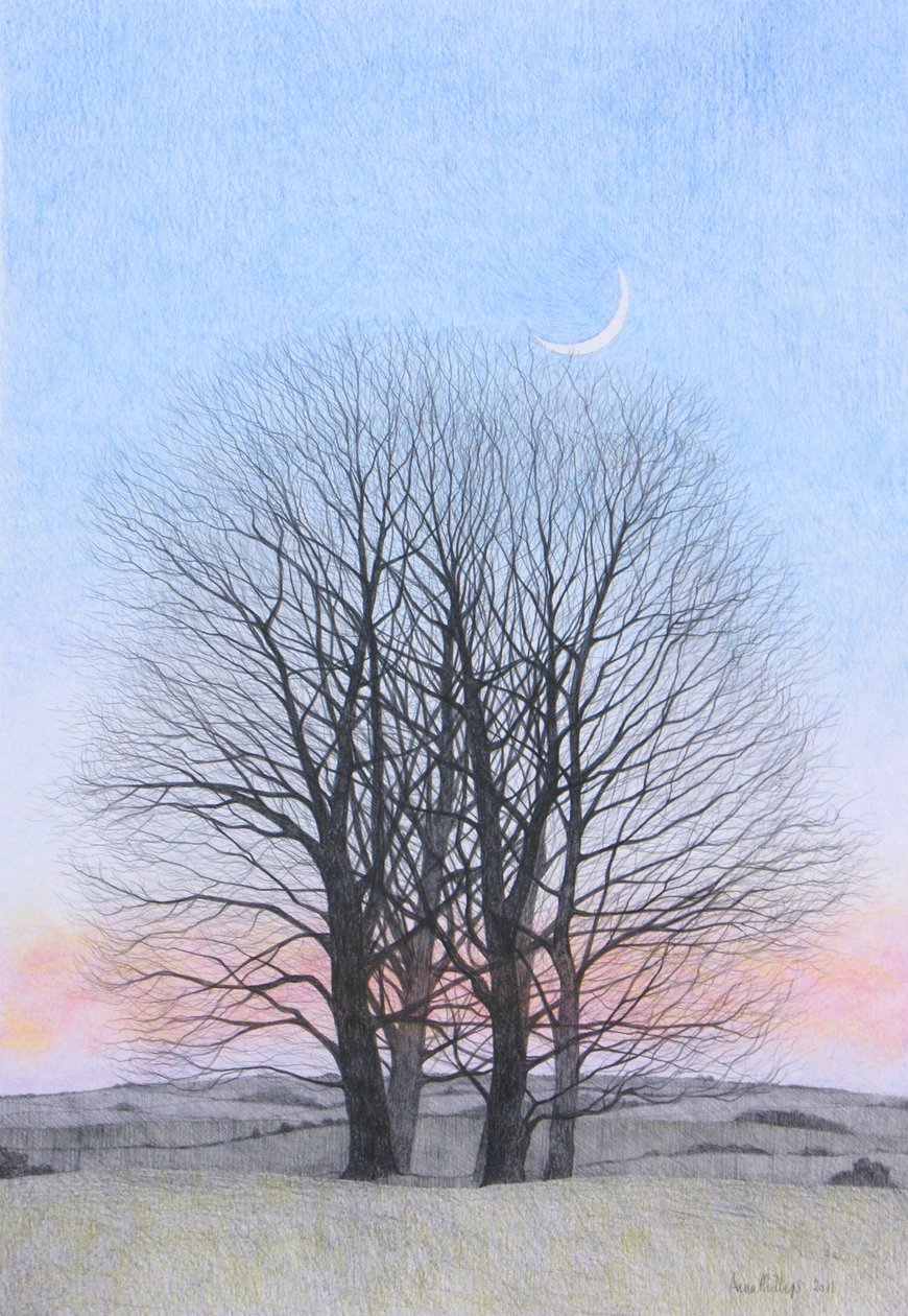 Nieuwe maan, 2011 door Anna Phillips