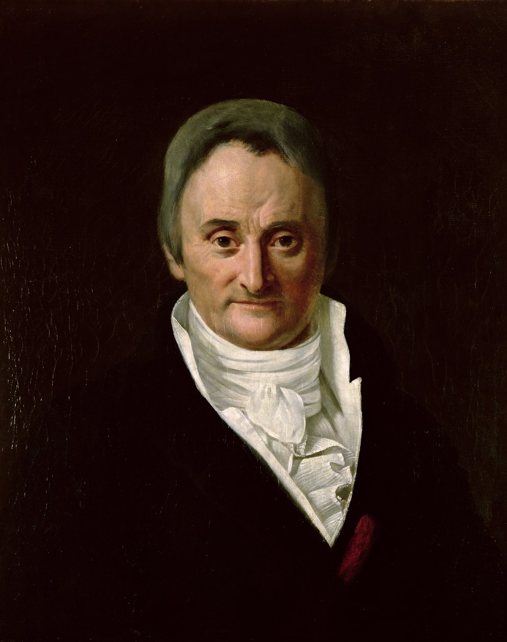Philippe Pinel door Anna M. Merimee