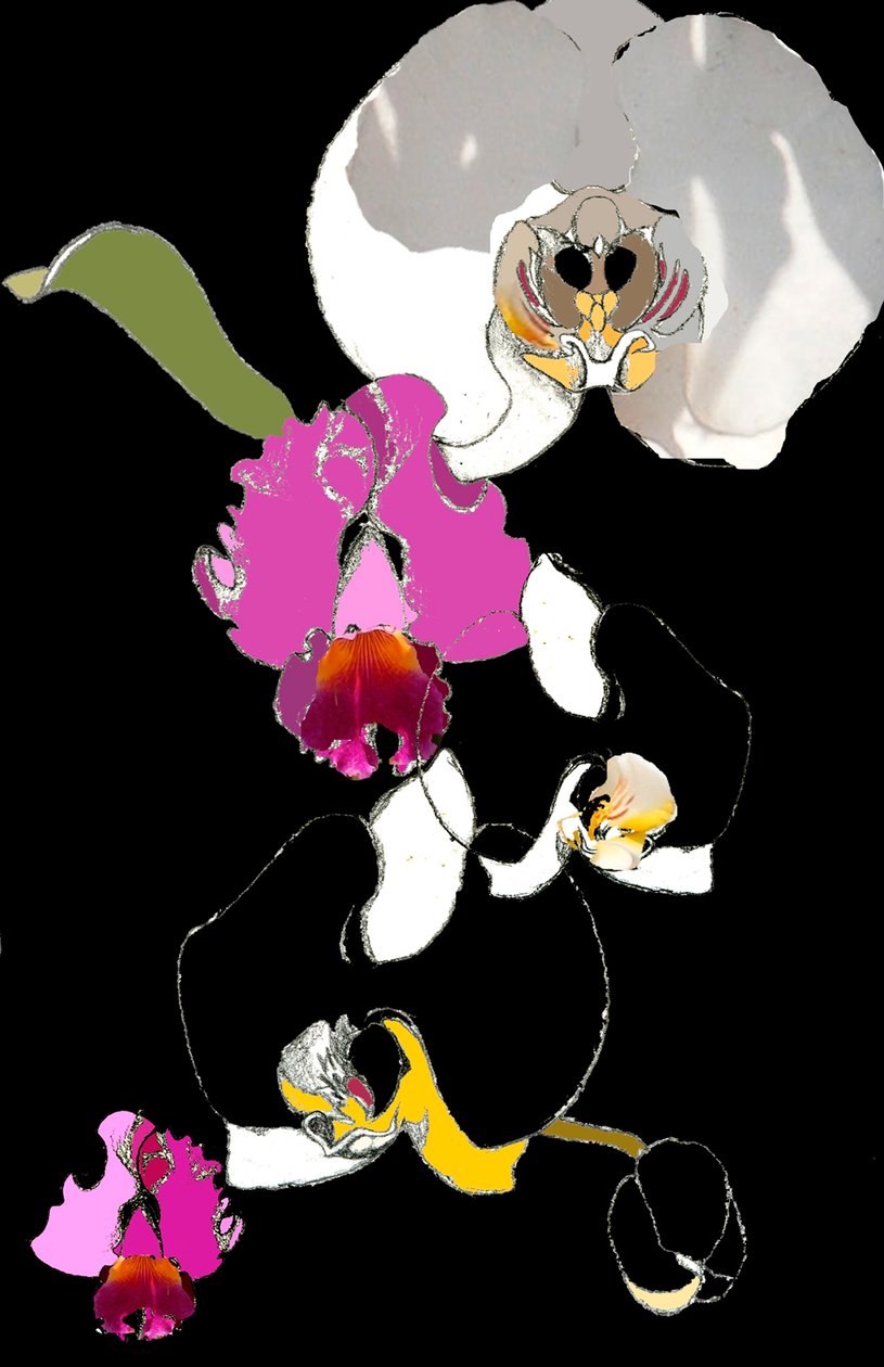 Orchidee door Anna Platts