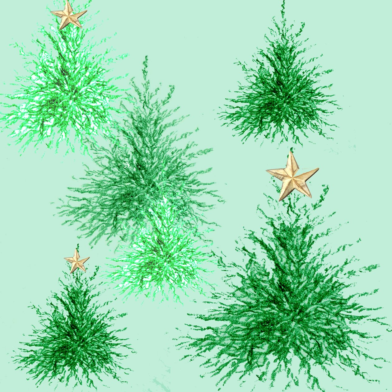 Sterrenbomen door Anna Platts