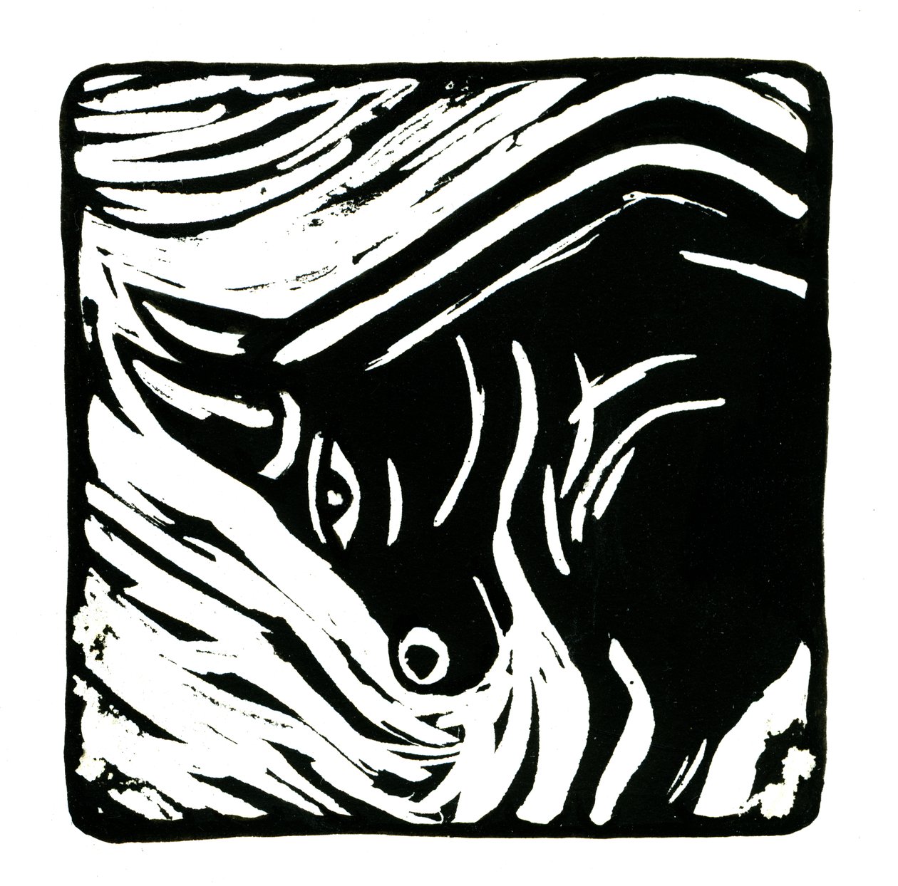 Horoscoop (Stier) door Annalisa Morrocco