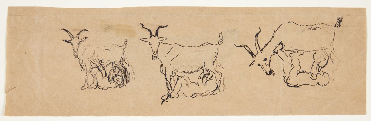 Zeuskind drinkt geitenmelk. 3 studies. door Anne Marie Carl Nielsen