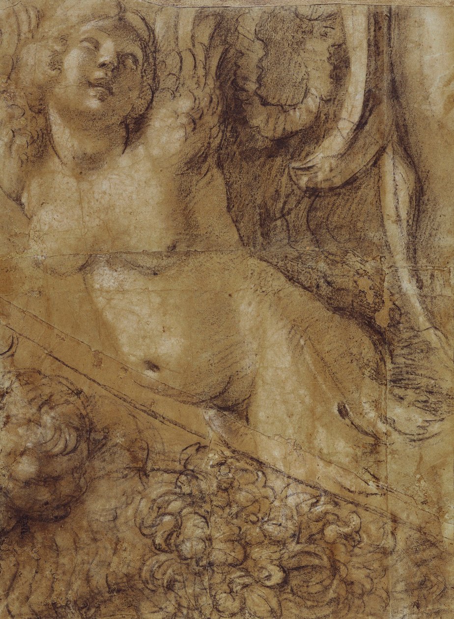 Cartoon Sirene door Annibale Carracci