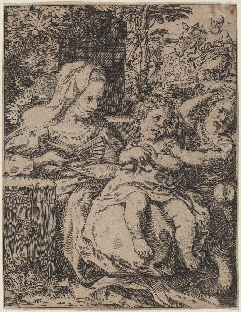Madonna van de zwaluw door Annibale Carracci