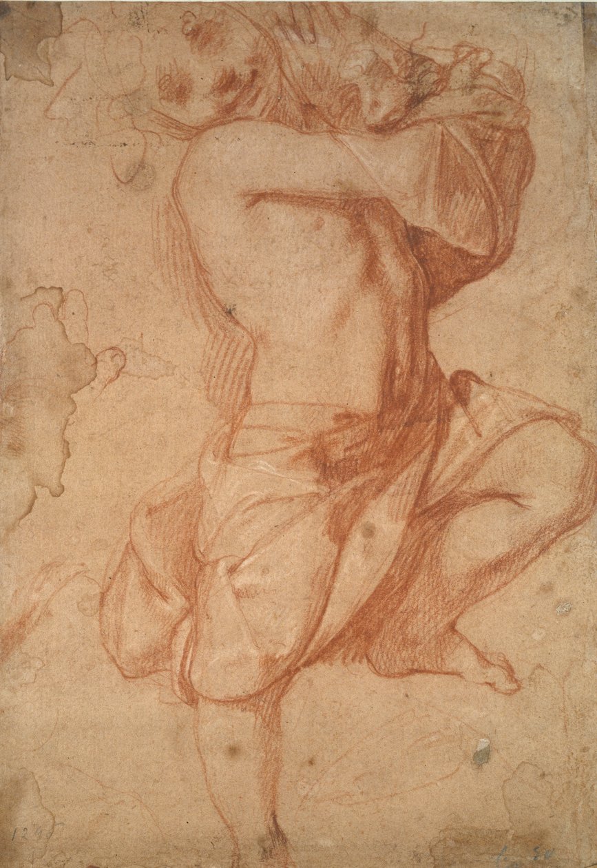 Halfnaakte Jongen, laat 16e eeuw door Annibale Carracci