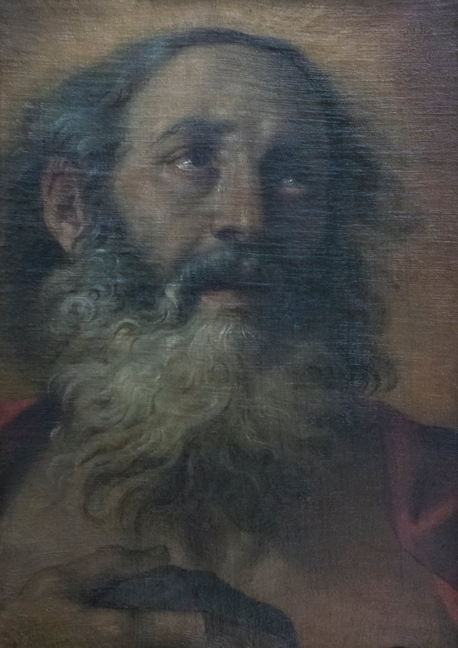 Sint-Hieronymus door Annibale Carracci
