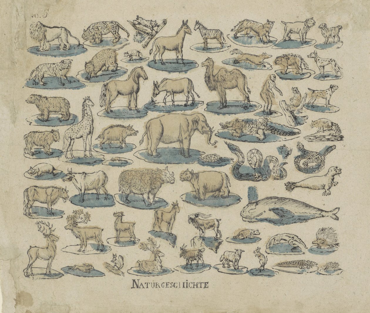 Dieren Naturgeschichte door Anonymous