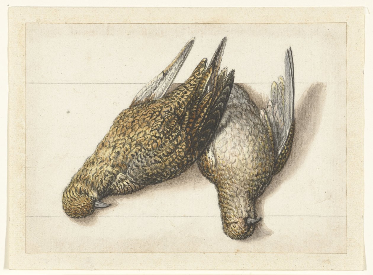 Goudplevier (Lombard album) door Anonymous
