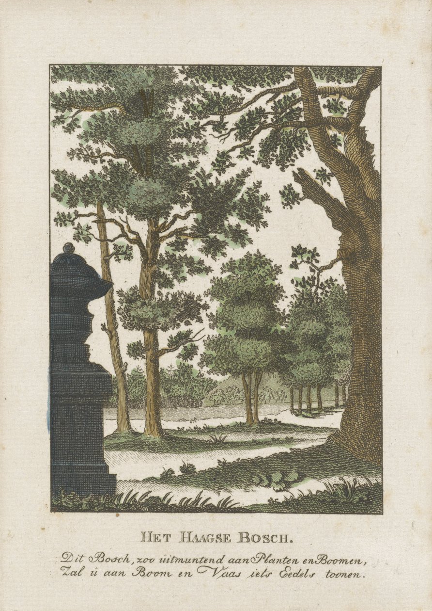 Haagse Bos door Anonymous