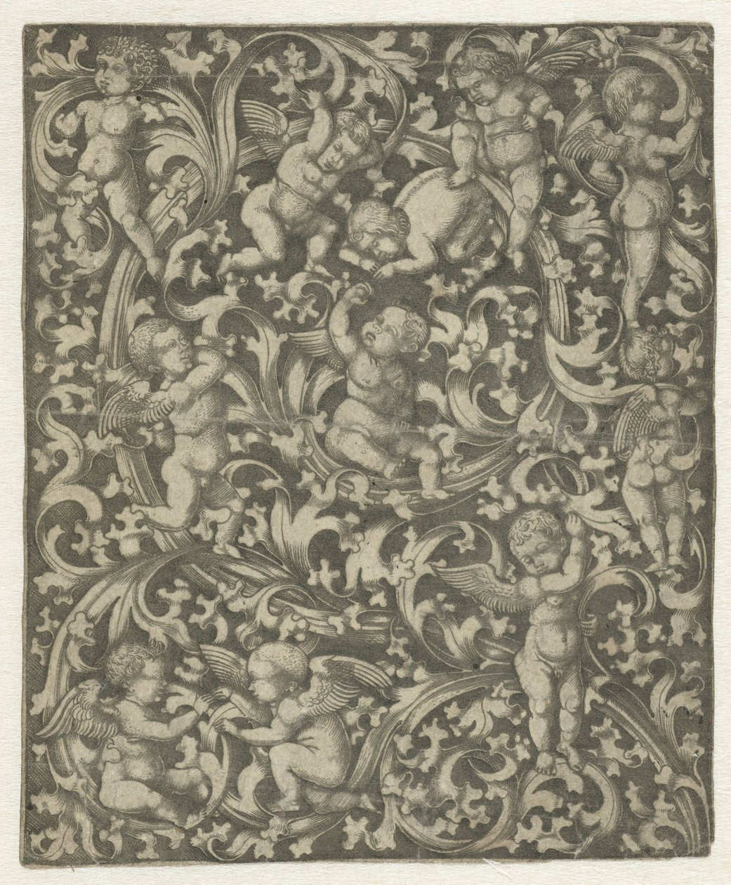 Ornament met putti door Anonymous