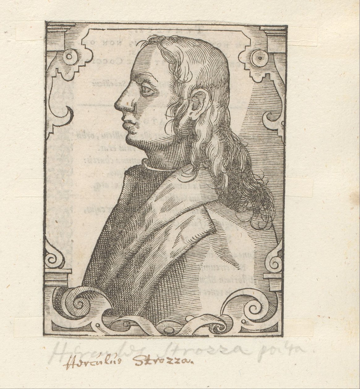 Portret van Ercole Strozzi door Anonymous
