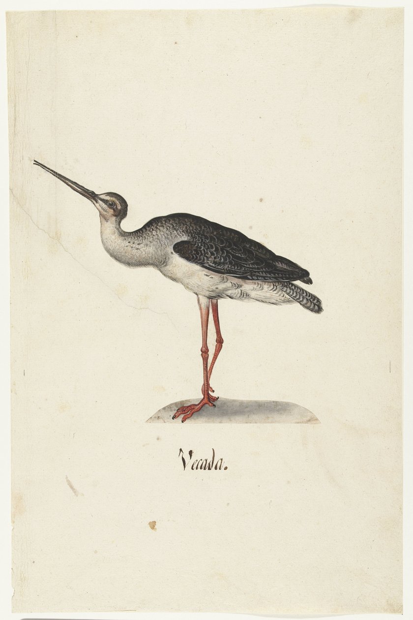 Zwarte Ruiter (Vecada) (Lombard album) door Anonymous