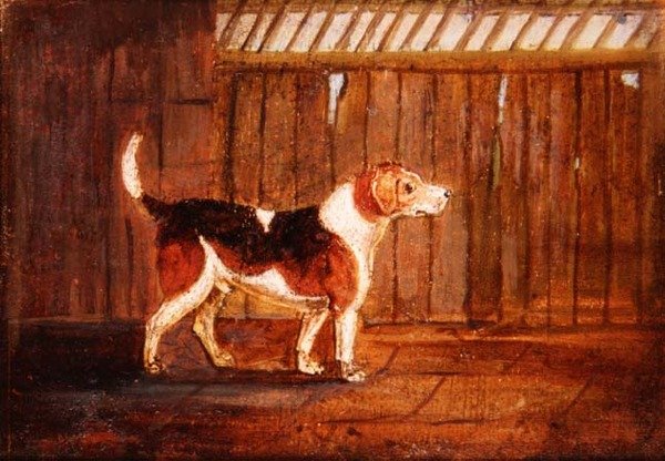 Een Hond door Anonymous Anonymous