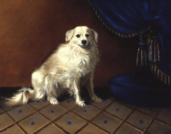 Een Speelgoedhond door Anonymous Anonymous