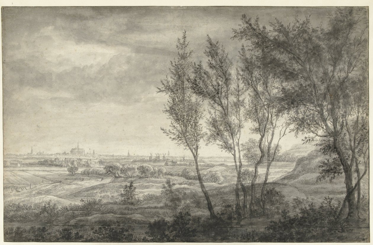 Gezicht vanuit de duinen op Haarlem door Anthonie Waterloo