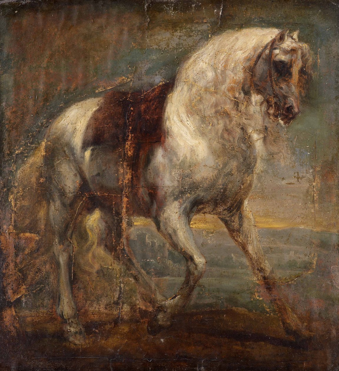 Een Grijs Paard door Anthony van Dyck