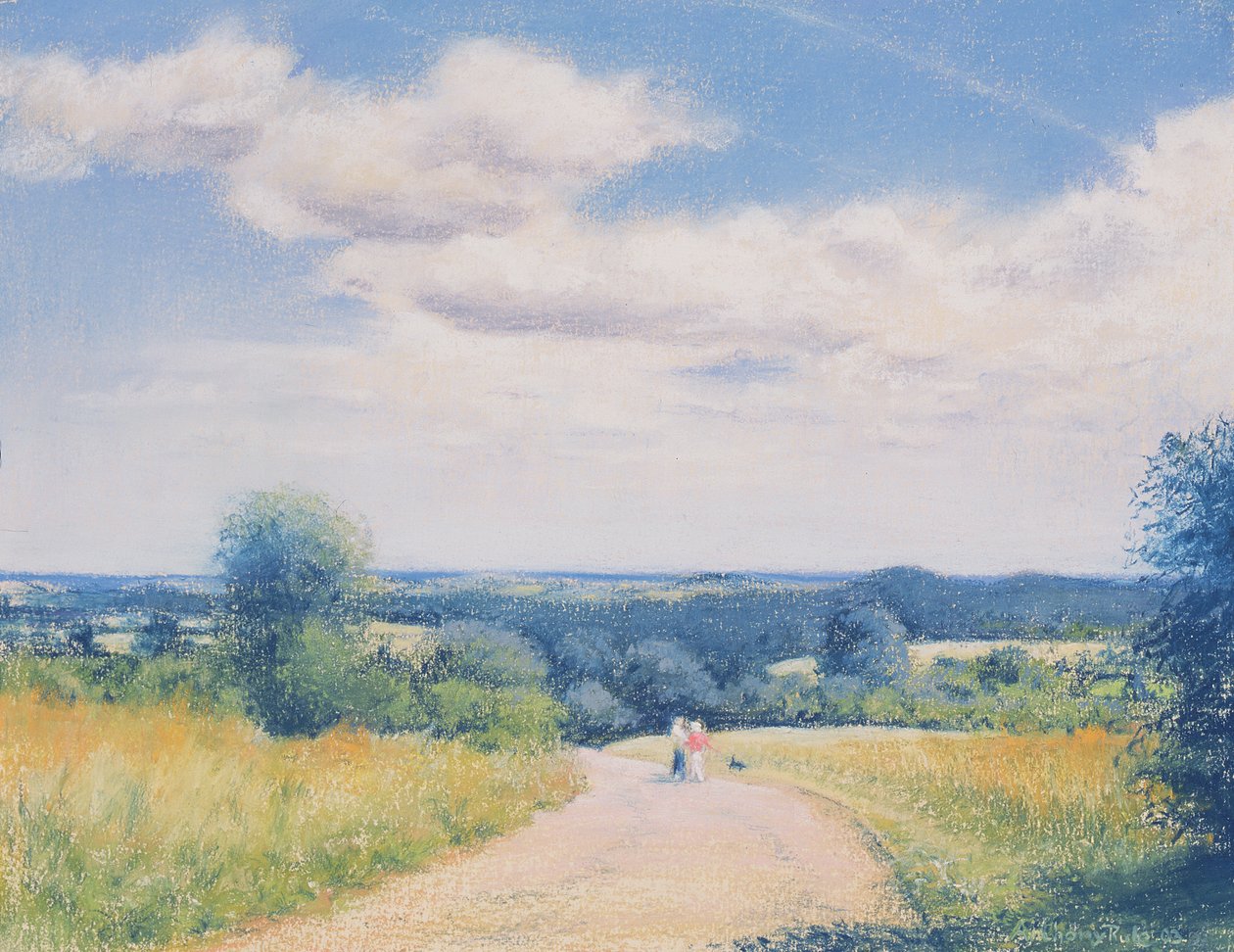Zondagse wandeling, 2003 door Anthony Rule